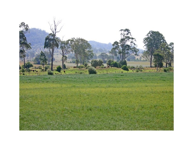 565 Old Razorback Road, Cawdor NSW 2570