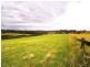 10 Crase Place, Grasmere NSW 2570