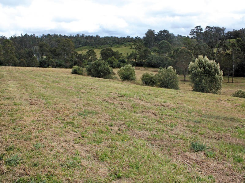 18  Nectarbrook Drive, Theresa Park NSW 2570
