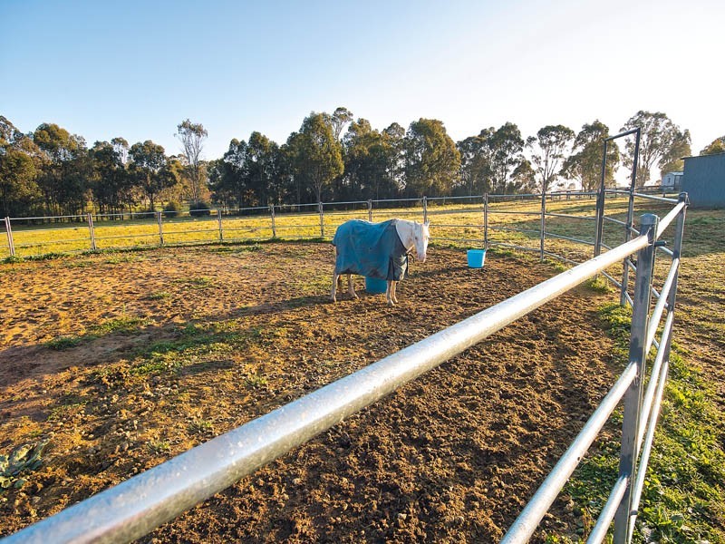 95 Colonel Pye Drive, Cobbitty NSW 2570
