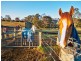 95 Colonel Pye Drive, Cobbitty NSW 2570