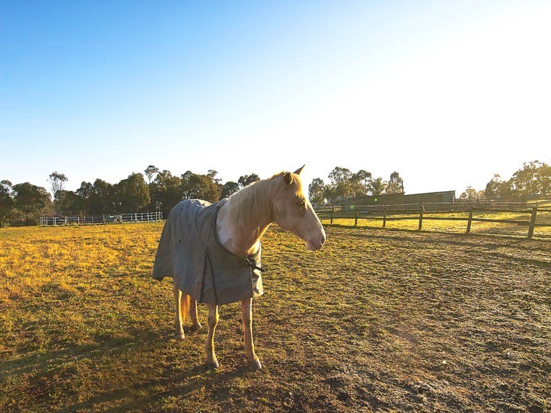 95 Colonel Pye Drive, Cobbitty NSW 2570