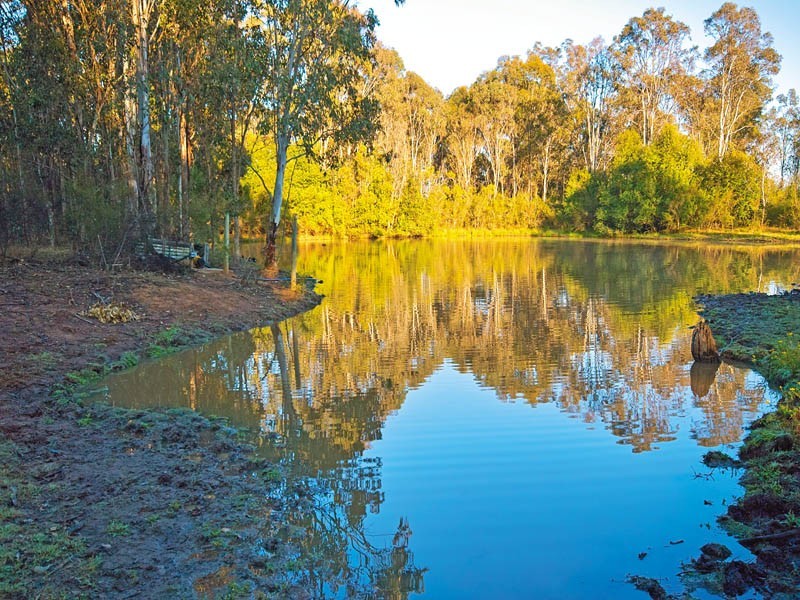 95 Colonel Pye Drive, Cobbitty NSW 2570