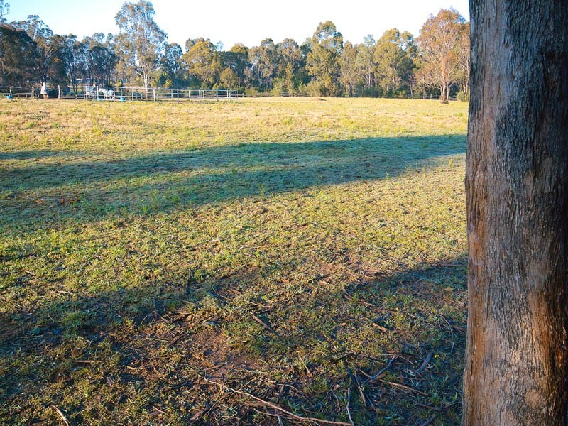 95 Colonel Pye Drive, Cobbitty NSW 2570