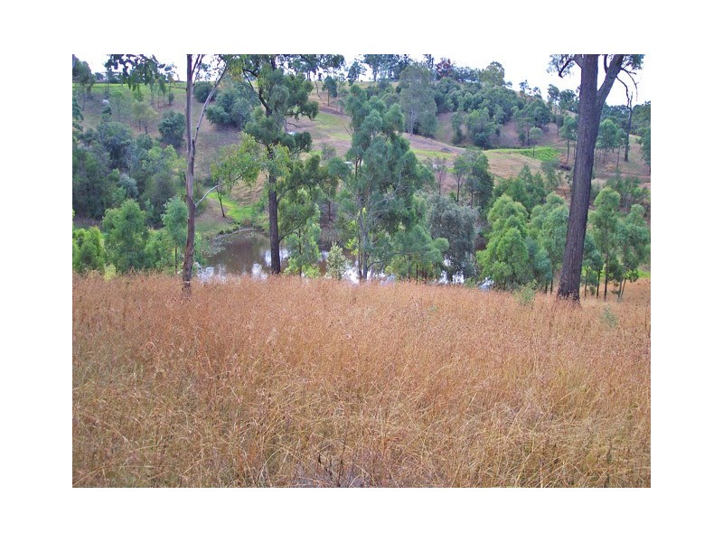 225 Bobs Range Road, Orangeville NSW 2570