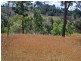 225 Bobs Range Road, Orangeville NSW 2570