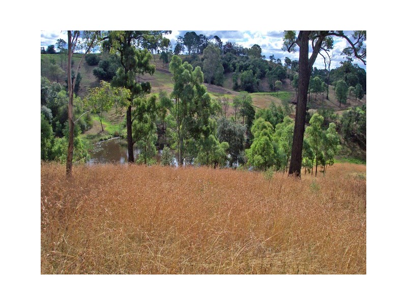 225 Bobs Range Road, Orangeville NSW 2570