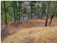 225 Bobs Range Road, Orangeville NSW 2570