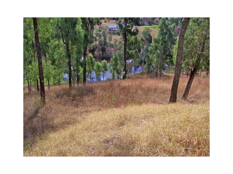 225 Bobs Range Road, Orangeville NSW 2570