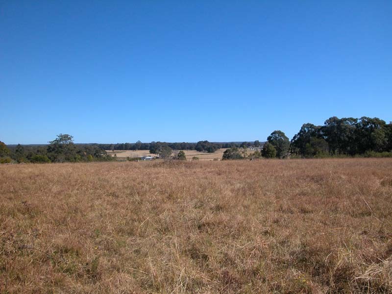55 Lincoln Drive, Orangeville NSW 2570