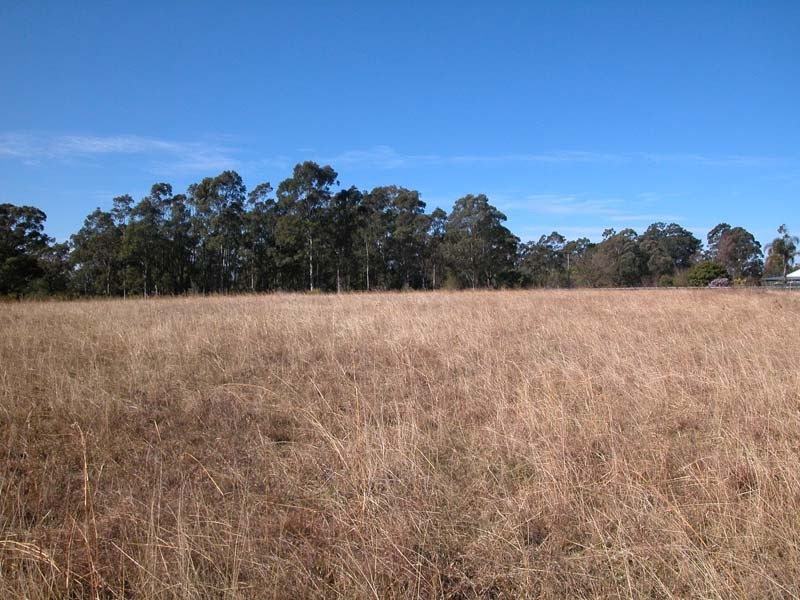 55 Lincoln Drive, Orangeville NSW 2570