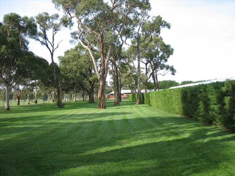 355 Balnarring Road, Tuerong VIC 3915