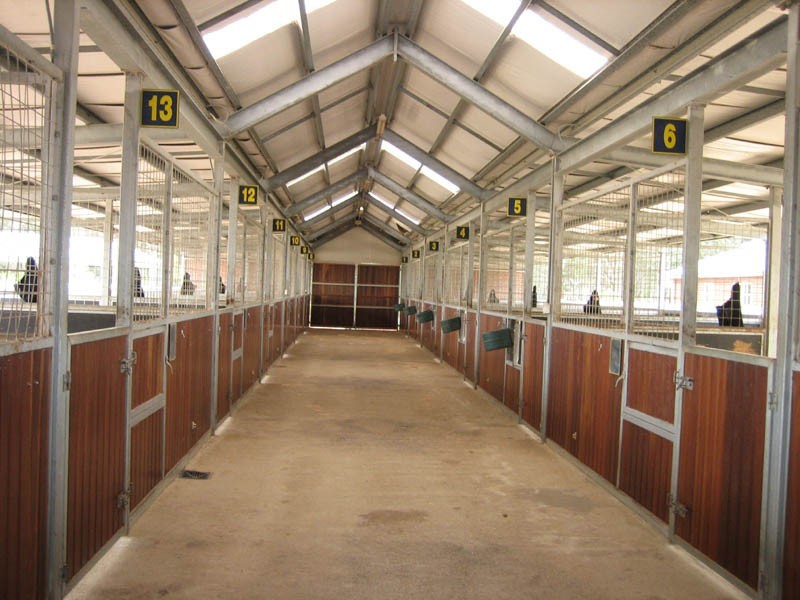 355 Balnarring Road, Tuerong VIC 3915