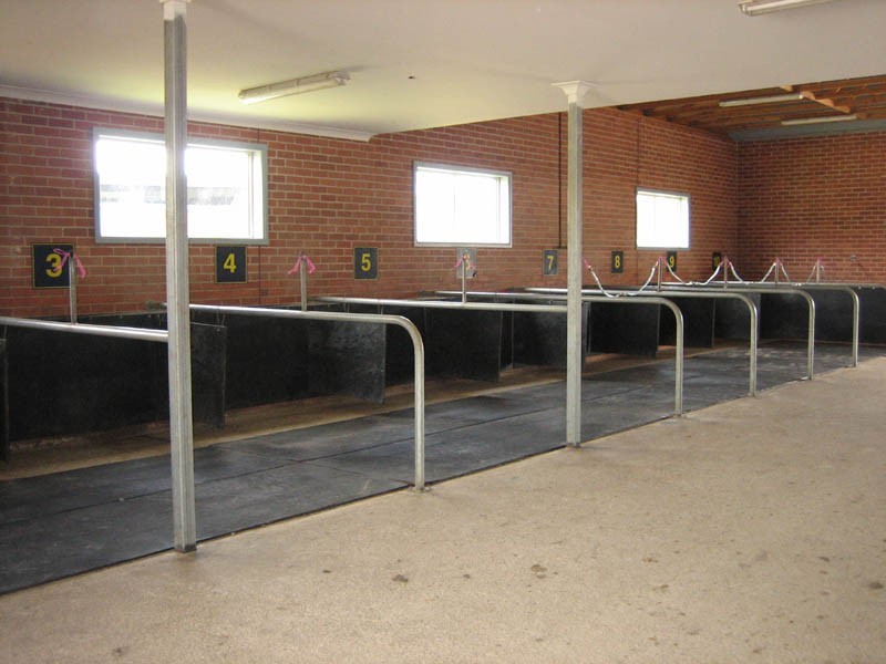 355 Balnarring Road, Tuerong VIC 3915