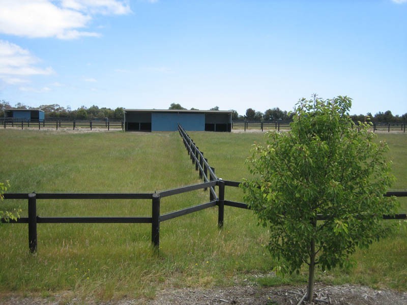 355 Balnarring Road, Tuerong VIC 3915