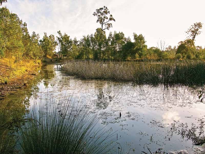 Orangeville NSW 2570