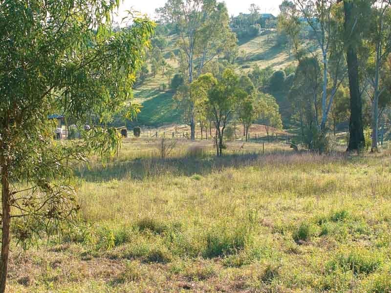 Orangeville NSW 2570