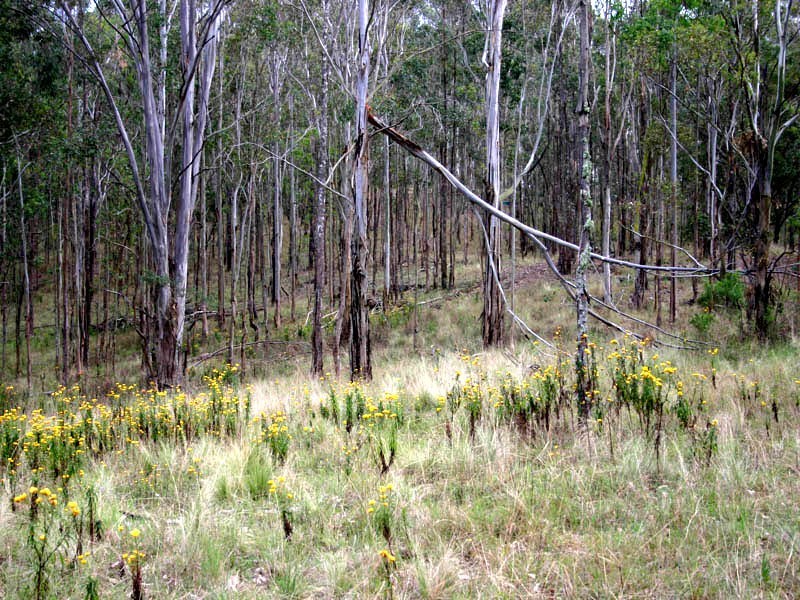 2 Gibraltar Drive, Razorback NSW 2571