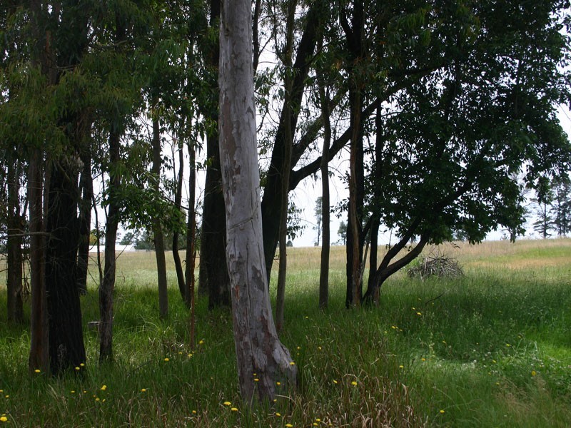 210 Egans Road, Oakdale NSW 2570