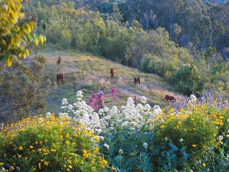 640 Mount Hercules Road, Razorback NSW 2571