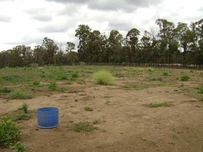 180 Russell Lane, Oakdale NSW 2570