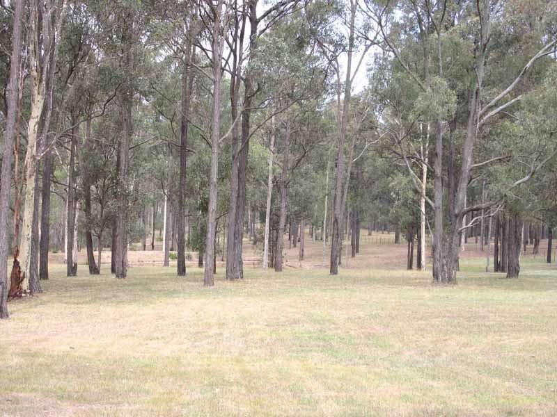 120 Rapleys Loop Road, Werombi NSW 2570