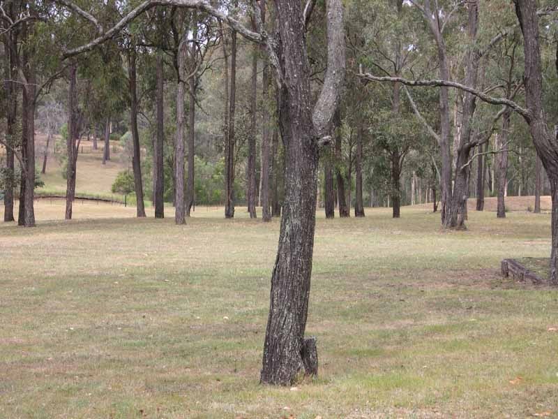 120 Rapleys Loop Road, Werombi NSW 2570