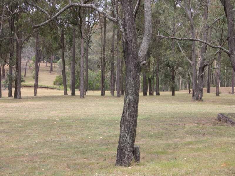 120 Rapleys Loop Road, Werombi NSW 2570