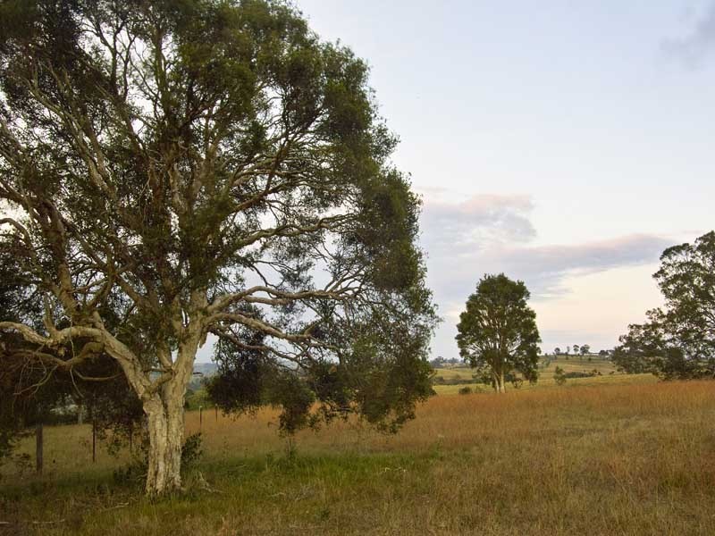 1 Stockade Road, Razorback NSW 2571