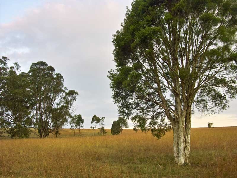 1 Stockade Road, Razorback NSW 2571