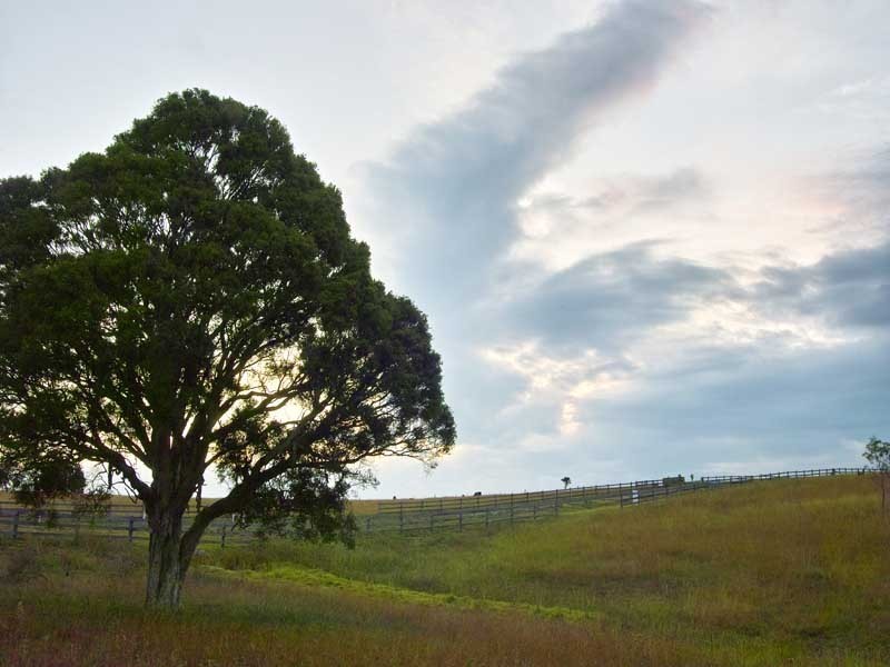 1 Stockade Road, Razorback NSW 2571