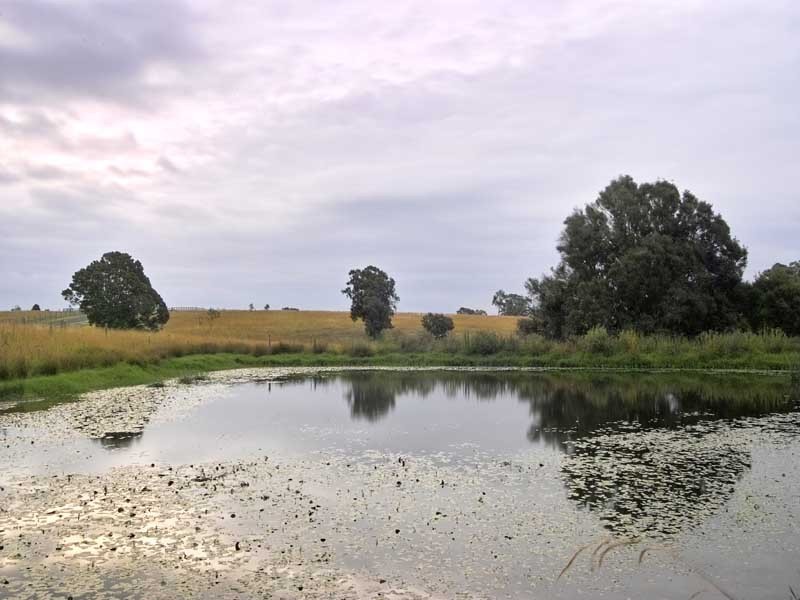 1 Stockade Road, Razorback NSW 2571