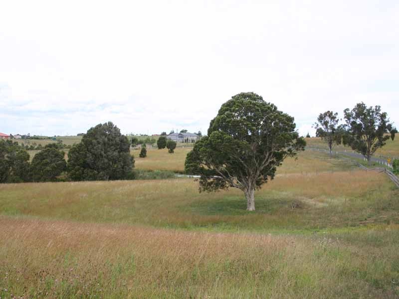 1 Stockade Road, Razorback NSW 2571