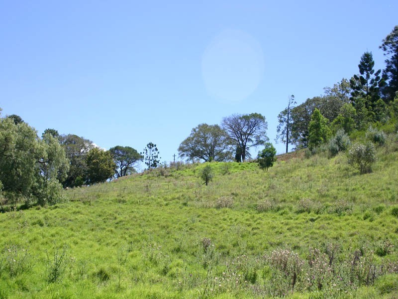 21/621 Werombi Road, Orangeville NSW 2570