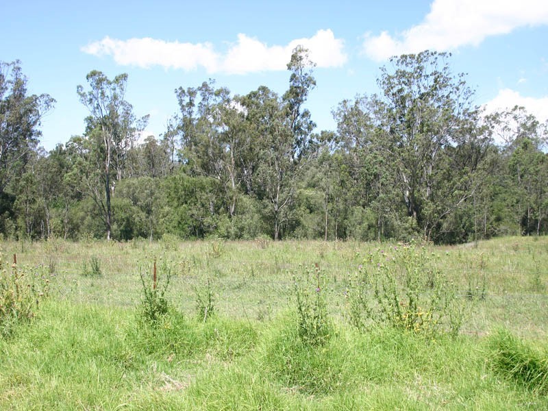 21/621 Werombi Road, Orangeville NSW 2570