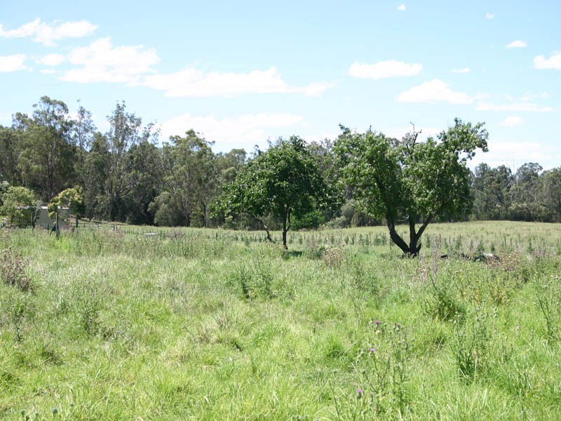 21/621 Werombi Road, Orangeville NSW 2570