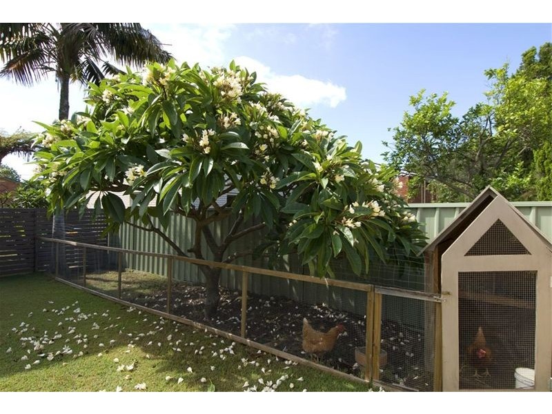 6 Palara Place, Dee Why NSW 2099