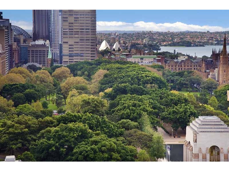 604 / 157 Liverpool Street, Sydney NSW 2000