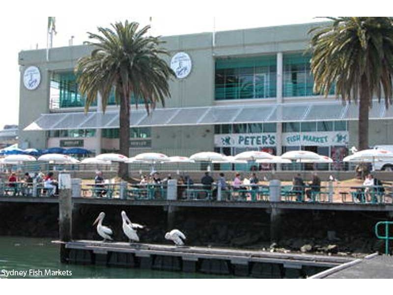 1004/36 Refinery Drive, Pyrmont NSW 2009