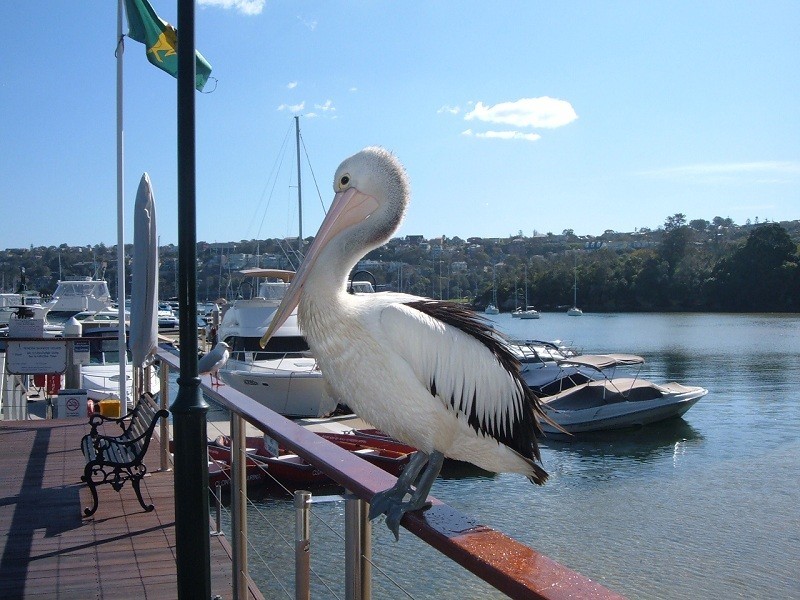 OFFICE 2  CLONTARF MARINA, SANDY BAY ROAD, Clontarf NSW 2093