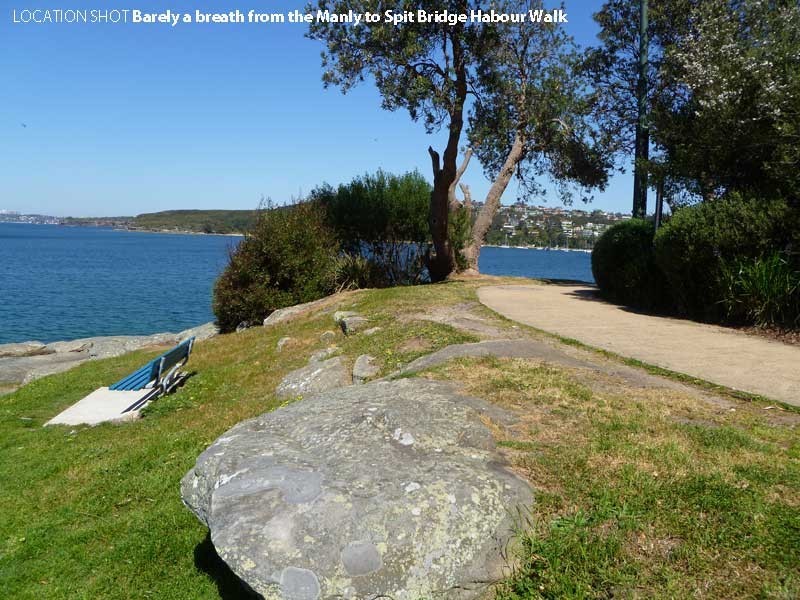 3/7 Commonwealth Parade, Manly NSW 2095