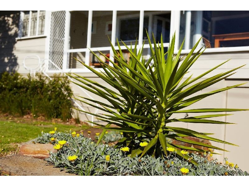 54 Narrabeen Park Parade, Warriewood NSW 2102