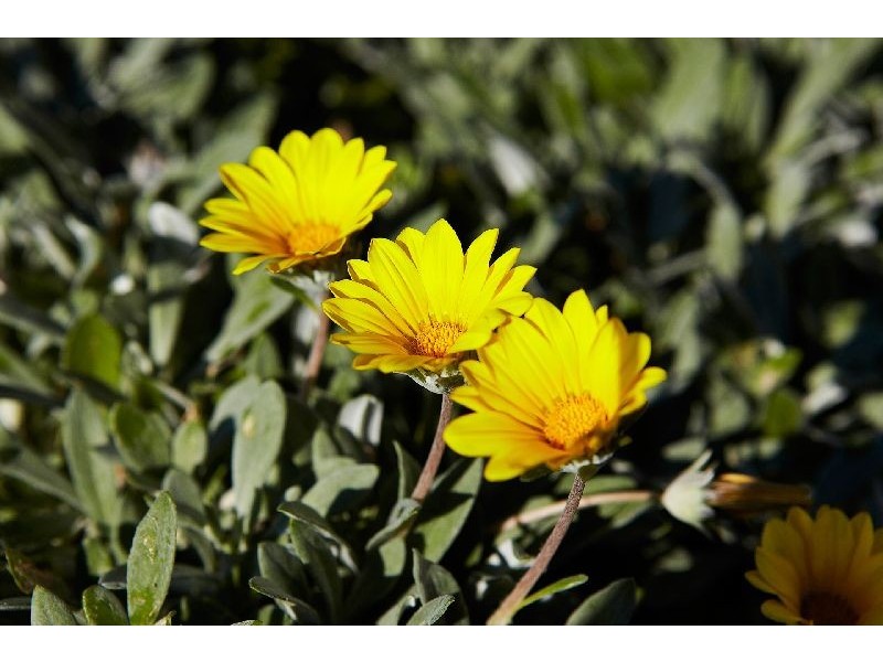 54 Narrabeen Park Parade, Warriewood NSW 2102