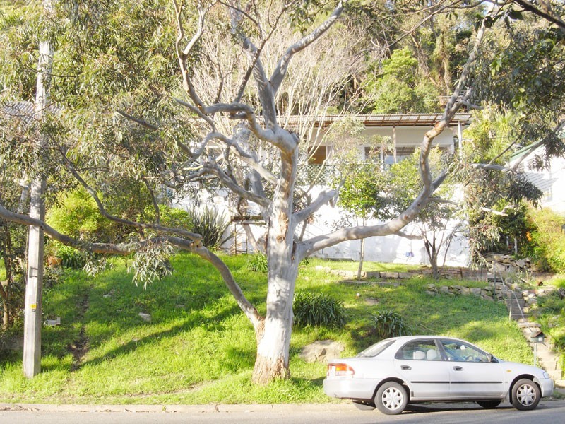 18 & 20  Narreen Parade, Narrabeen NSW 2101