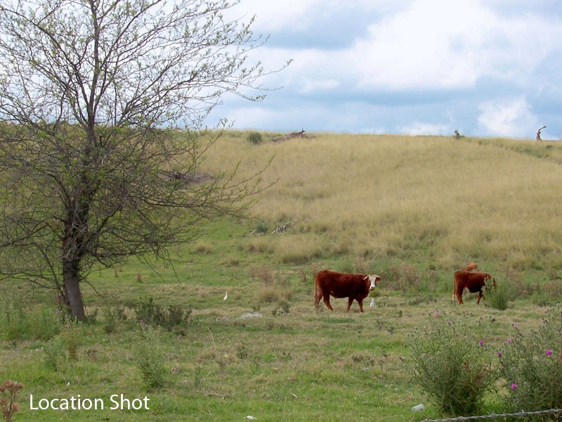 5  Silo Place, Mcgraths Hill NSW 2756