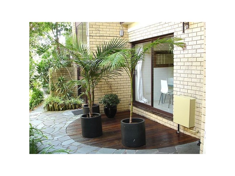 2/24-26  Wood Street, Manly NSW 2095