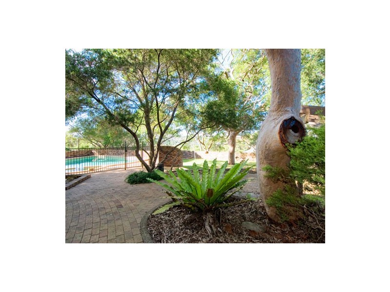 65 Washington Avenue, Cromer NSW 2099