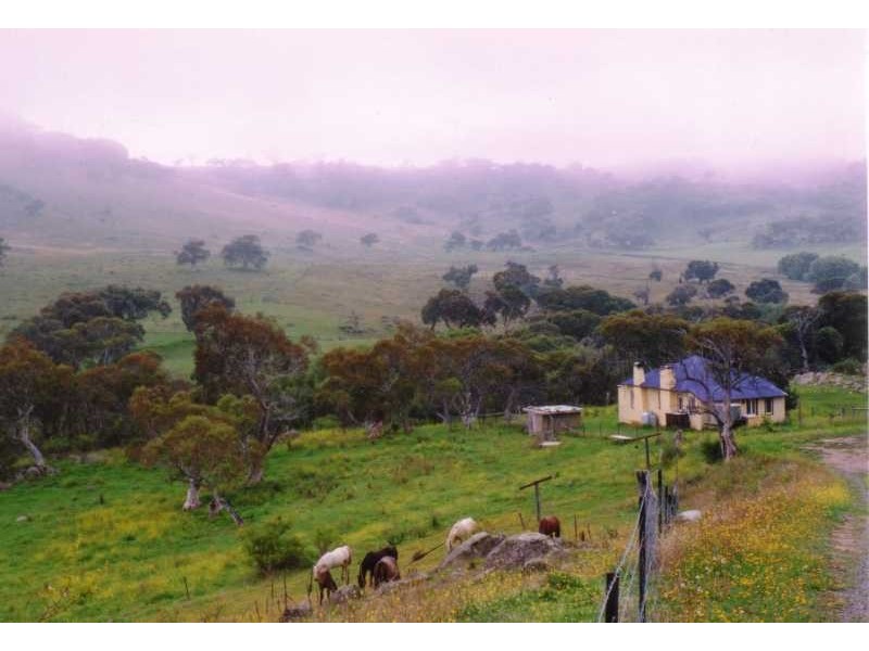167 West Lynne Road, Jindabyne NSW 2627