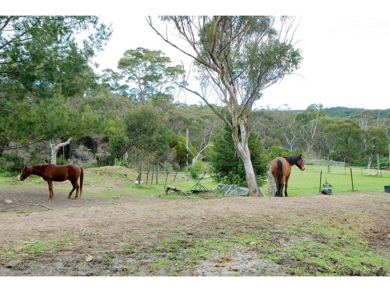 4 McCowan Road, Ingleside NSW 2101
