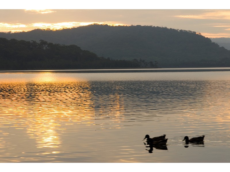 9/25  Devitt Street, Narrabeen NSW 2101